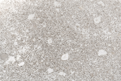 Basalte à olivine (V 208) LPNA x2,6